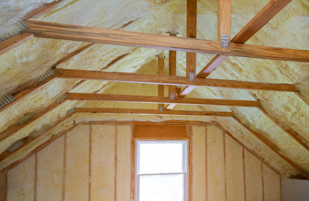 Best Insulation Installation Services in Pistakee Highlands, IL