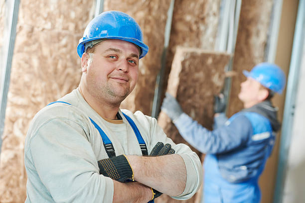 Best Insulation Materials and Products in Pistakee Highlands, IL